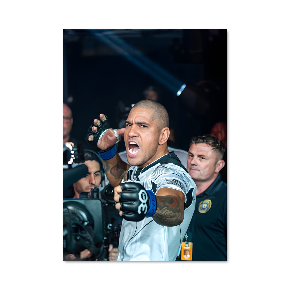 Poster Alex pereira enflammer
